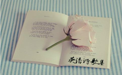 “译诗六论”助你搞定翻硕半岛星空体育·(中国)官方网站英诗翻译