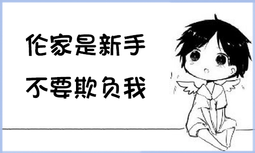 新手专属 新手专属